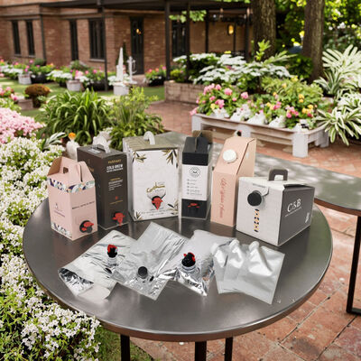 Tas BIB yang disesuaikan dalam Kotak dengan Aksesoris Tap Spout ideal untuk kemasan minyak jus anggur dan produk cair lainnya