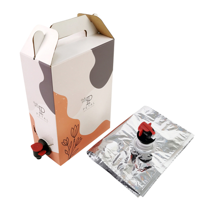 1L/2L/3L Custom Coffee Box Tas Kopi sekali pakai dalam kotak dengan dispenser katup