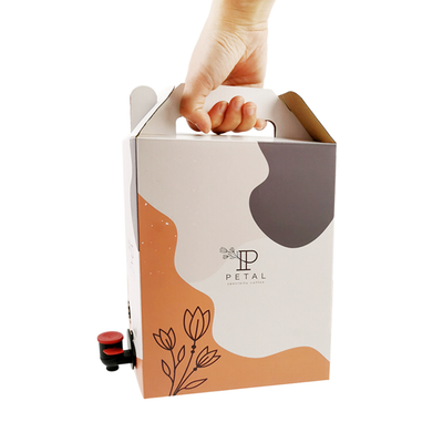 1L/2L/3L Custom Coffee Box Tas Kopi sekali pakai dalam kotak dengan dispenser katup