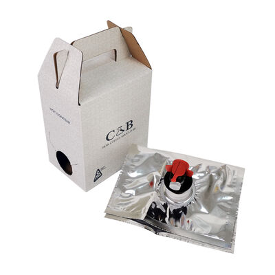 Tas Dispensing Mudah Dalam Kotak Dengan Spout Dan Tanpa Genggam Untuk Kemasan Serbaguna