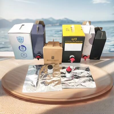 Wadah Kotak Karton Bertekstur dengan Cerat Plastik Cocok untuk Aplikasi Pengemasan Cairan Food Grade