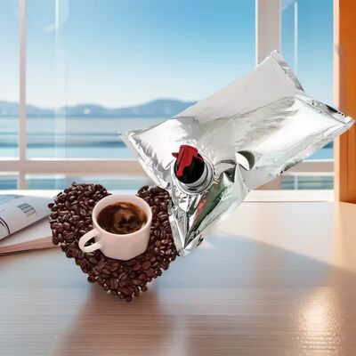 Tas BIB yang disesuaikan dalam Kotak dengan Aksesoris Tap Spout ideal untuk kemasan minyak jus anggur dan produk cair lainnya