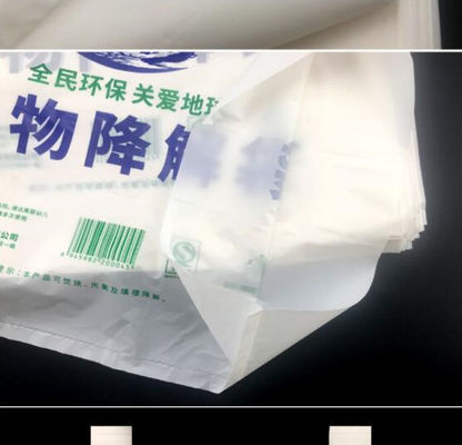 Pencetakan Gravure Biodegradable PLA PBAT Packaging Poly Bags Shopping Pouch Bag